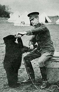 Winnie the bear with Harry,